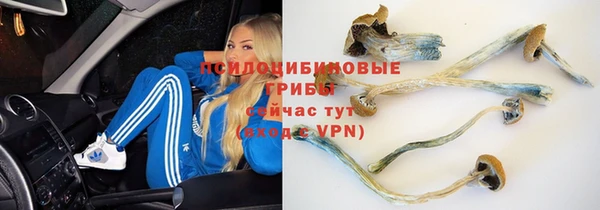 PSILOCYBIN Баксан