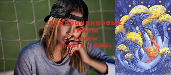 PSILOCYBIN Баксан