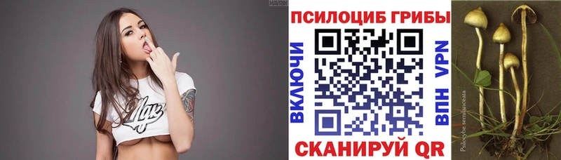 купить  цена  Макаров  Галлюциногенные грибы MAGIC MUSHROOMS 